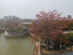 -喜洲吧·江畔老船厂·庭院餐厅(喜临院店)