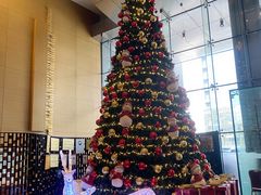 -青岛海尔洲际酒店