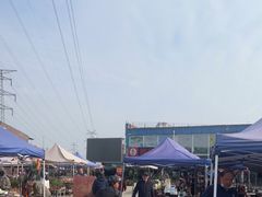 -中环花鸟鱼虫市场