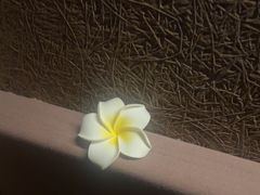 -厘舍SPA(运达店)