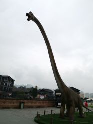 点击看大图 -恐龙探索乐园(磁器口店)