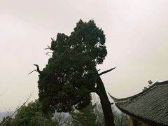 -狼山风景名胜区