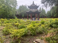 -洛阳白马寺