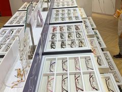 -沫芮眼镜·蔡司·依视路·尼康明月(环创店)
