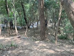-紫金山山顶公园