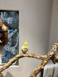 -Zoolung Zoolung动物主题公园(海信广场店)