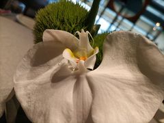 -南堂馆·新川菜(春熙路店)