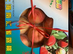 -南汇新场正宗水蜜桃采摘