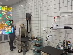 -BABIT巴比特宠物(MOMOPARK店)