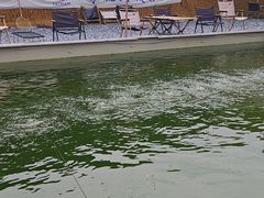 -DGE季风钓虾营地·团建·聚会