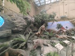 -国家自然博物馆