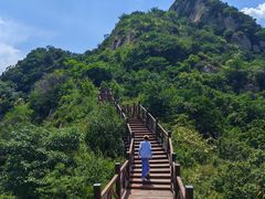 -大岭沟猕猴桃谷风景区