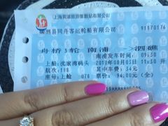 -上海南浦大桥长途旅游客运站