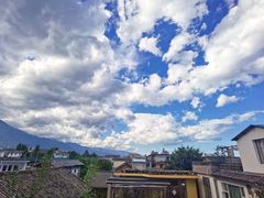 -喵屿·大理花园猫咖