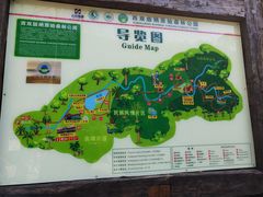 -西双版纳原始森林公园