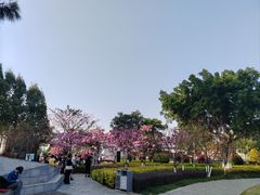 -狐尾山公园