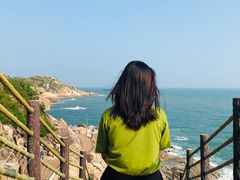 -广东惠东海龟国家级自然保护区