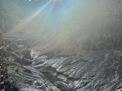 -广州白江湖森林公园