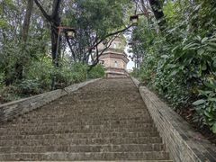 -惠州泗洲塔