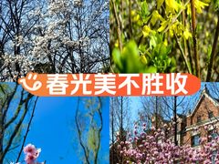 -新江湾城公园