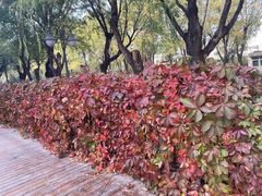 -中央戏剧学院(昌平校区)