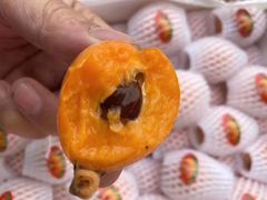 -PAGODA百果园(台柳路凯德广场店)