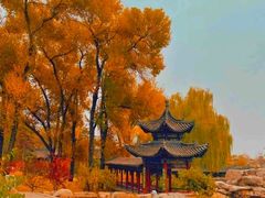 -迎泽公园