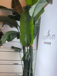 -春田皮肤管理中心品牌旗舰店