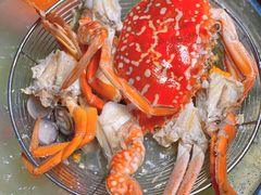 -凯华海鲜火锅·传承三十六年