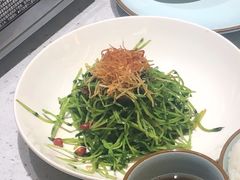 -青花椒花椒鱼(合生汇店)