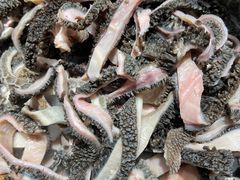 -东来顺饭庄(上地华联店)