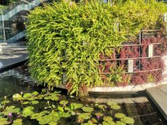 -白天鹅宾馆·流浮阁咖啡厅