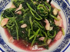 清炒苋菜-老阊门菜馆(山塘街店)