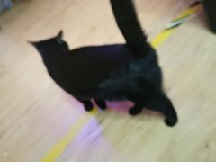 -剧狐剧本杀·月球探案馆(人民广场1号店)