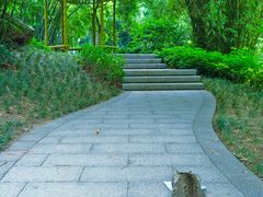 -晓港公园