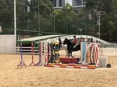 -名驭国际马术学院