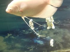 -常州海昌海洋探索馆