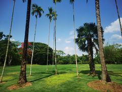 -中国科学院西双版纳热带植物园