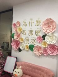 -Lab Season惜辰颜究社
