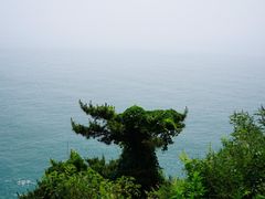 -棒棰岛宾馆景区