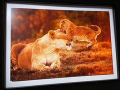 -罗红摄影艺术馆