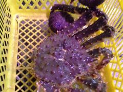 iphone_upload_pic-蟹料理 北海道かに将軍(札幌本店)