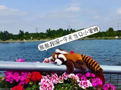 -上海辰山植物园