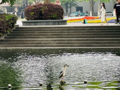 -西湖天地