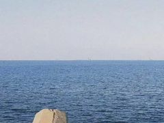 -渡海小渔村.老辈日照菜