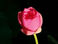 -北海公园-停车场