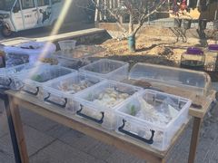 -辛庄国际文化艺术区