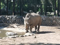 -北京野生动物园