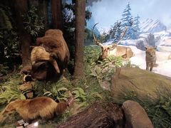 -陕西自然博物馆