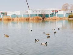 -海淀公园